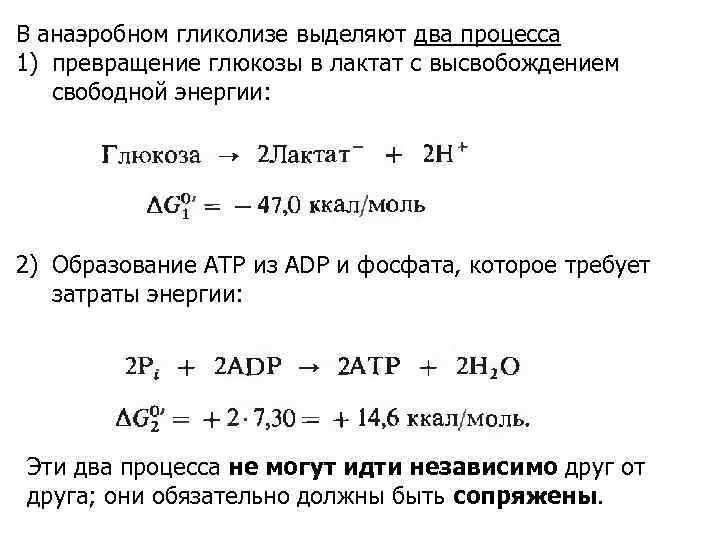 В анаэробном гликолизе выделяют два процесса 1) превращение глюкозы в лактат с высвобождением свободной