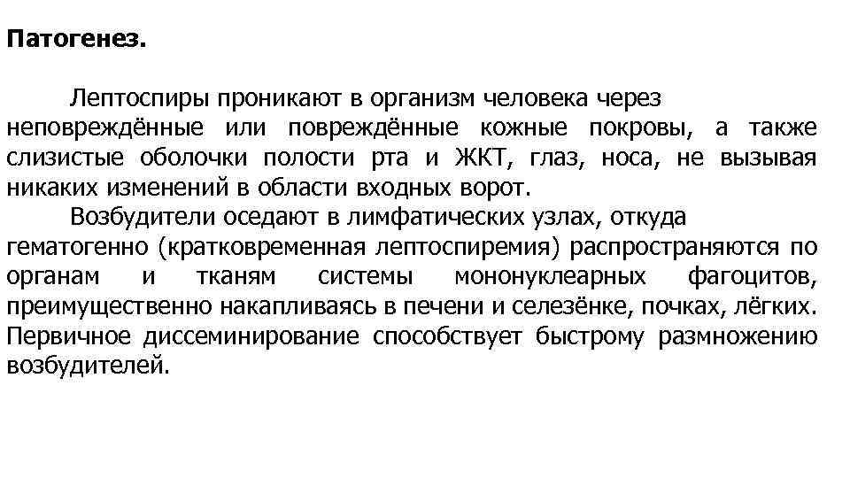Патогенез. Лептоспиры проникают в организм человека через неповреждённые или повреждённые кожные покровы, а также