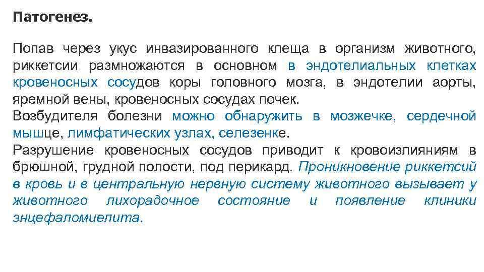 Патогенез. Попав через укус инвазированного клеща в организм животного, риккетсии размножаются в основном в