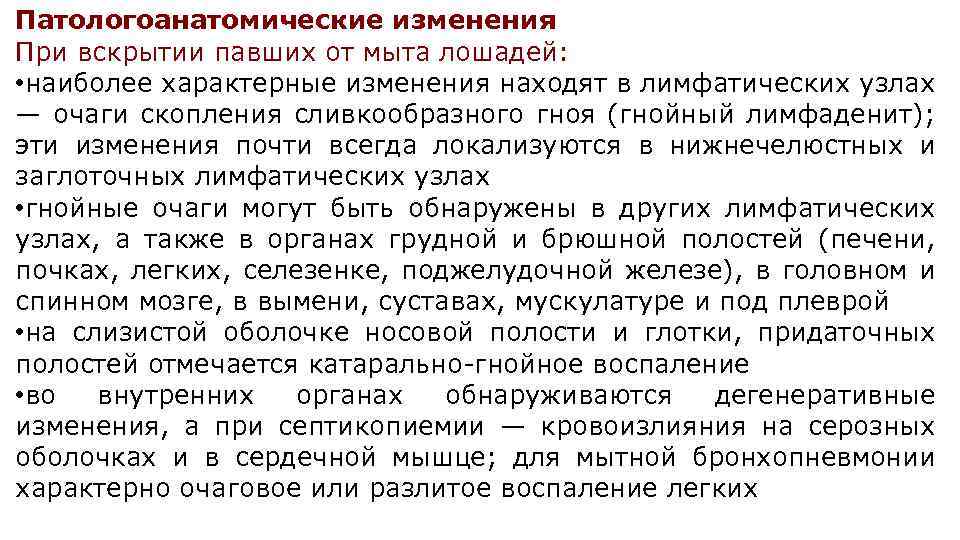 Найди поправки. Патологоанатомические изменения при Мыте лошадей. Патологоанатомические изменения в лимфатических узлах. Кататравма патологоанатомические изменения. Патологоанатомическое вскрытие мыт лошадей.