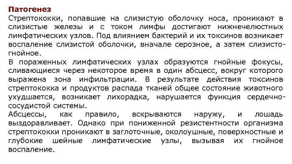 Патогенез Стрептококки, попавшие на слизистую оболочку носа, проникают в слизистые железы и с током