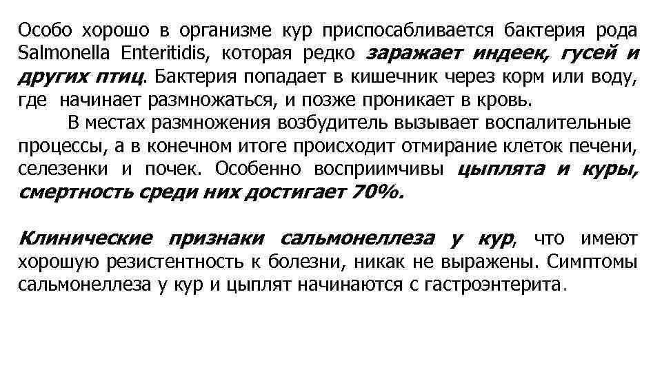 Особо хорошо в организме кур приспосабливается бактерия рода Salmonella Enteritidis, которая редко заражает индеек,