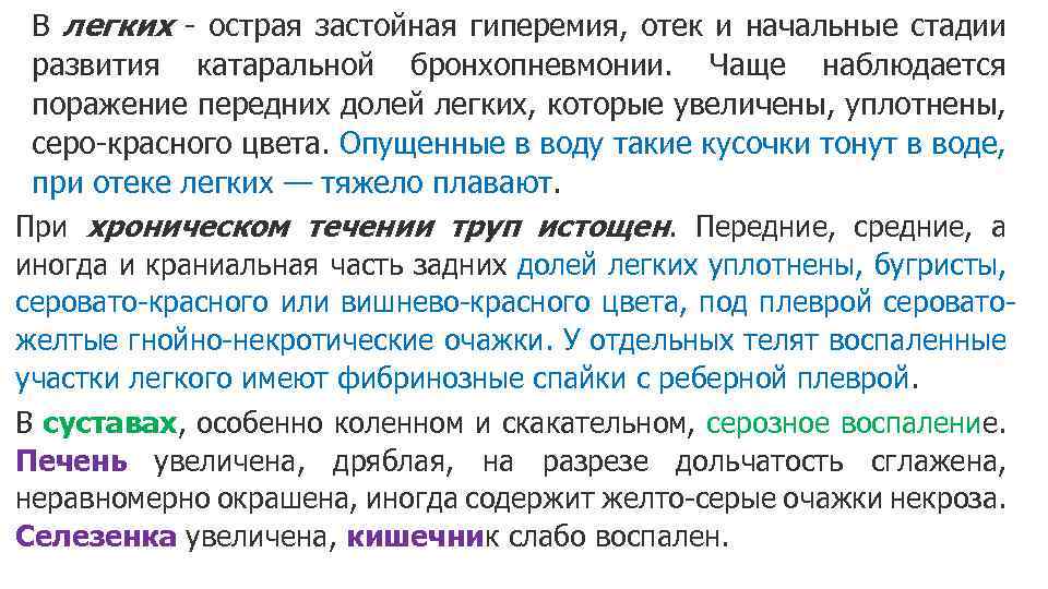 В легких - острая застойная гиперемия, отек и начальные стадии развития катаральной бронхопневмонии. Чаще