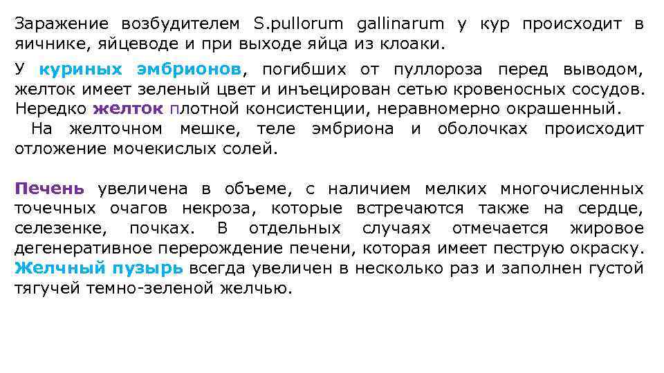 Заражение возбудителем S. pullorum gallinarum у кур происходит в яичнике, яйцеводе и при выходе