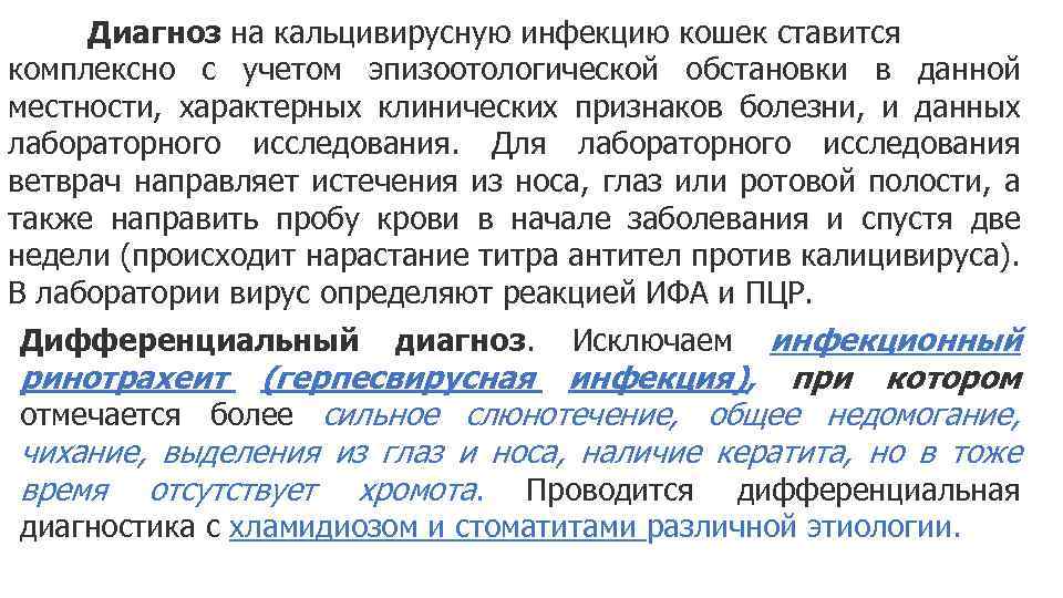 Диагноз на кальцивирусную инфекцию кошек ставится комплексно с учетом эпизоотологической обстановки в данной местности,