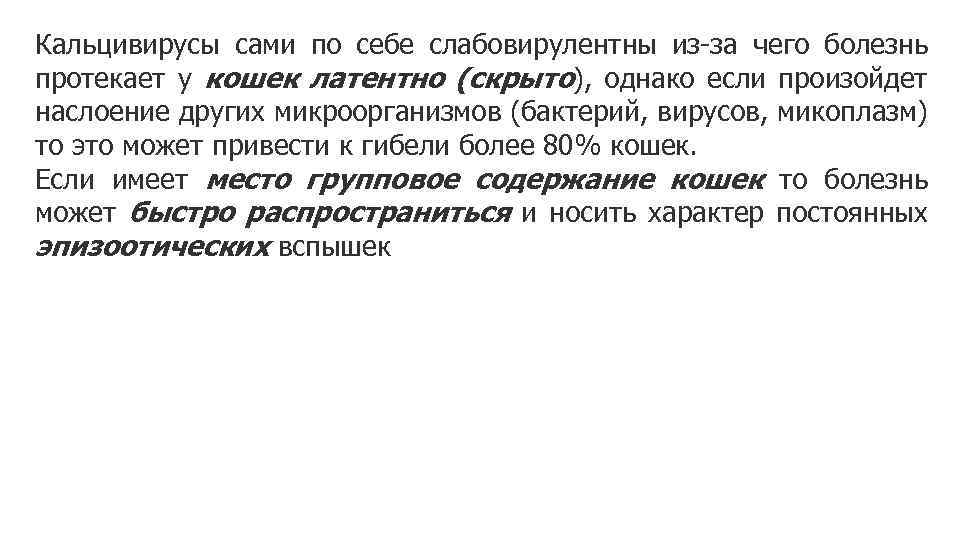 Кальцивирусы сами по себе слабовирулентны из-за чего болезнь протекает у кошек латентно (скрыто), однако