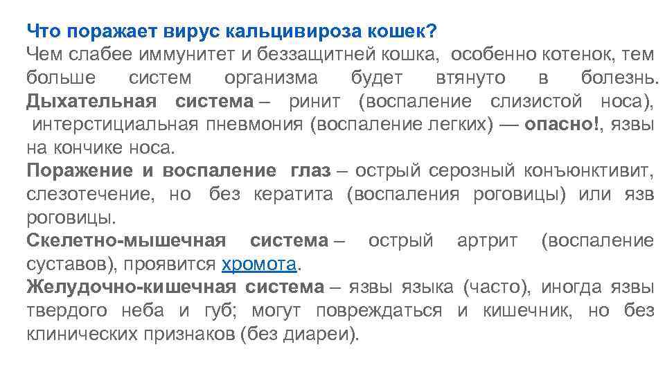 Что поражает вирус кальцивироза кошек? Чем слабее иммунитет и беззащитней кошка, особенно котенок, тем