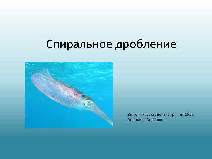 Спиральное дробление Выполнила: студентка группы 195 а Ананьева Анастасия 