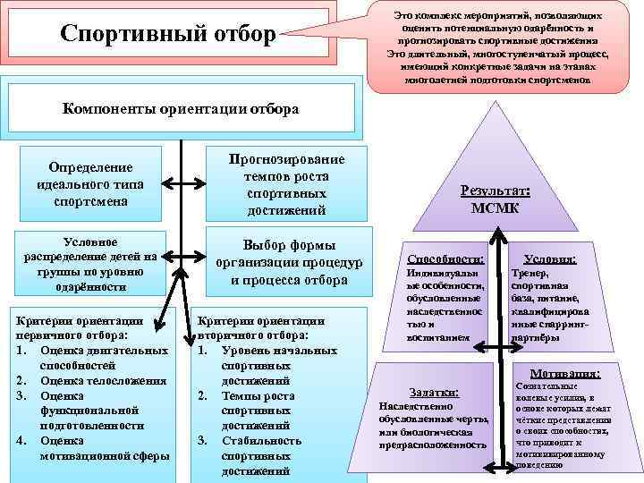 Спортивный отбор Это комплекс мероприятий, позволяющих оценить потенциальную одарённость и прогнозировать спортивные достижения Это