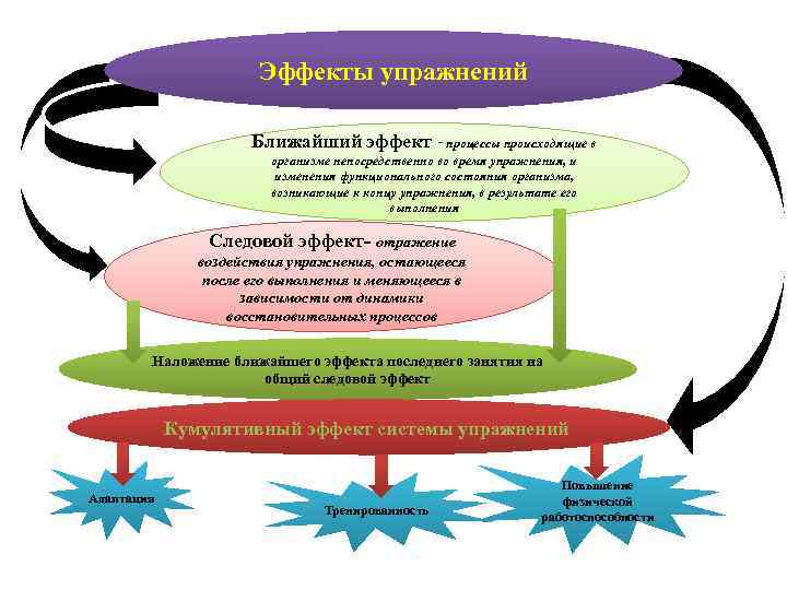 Эффекты упражнений Ближайший эффект - процессы происходящие в организме непосредственно во время упражнения, и