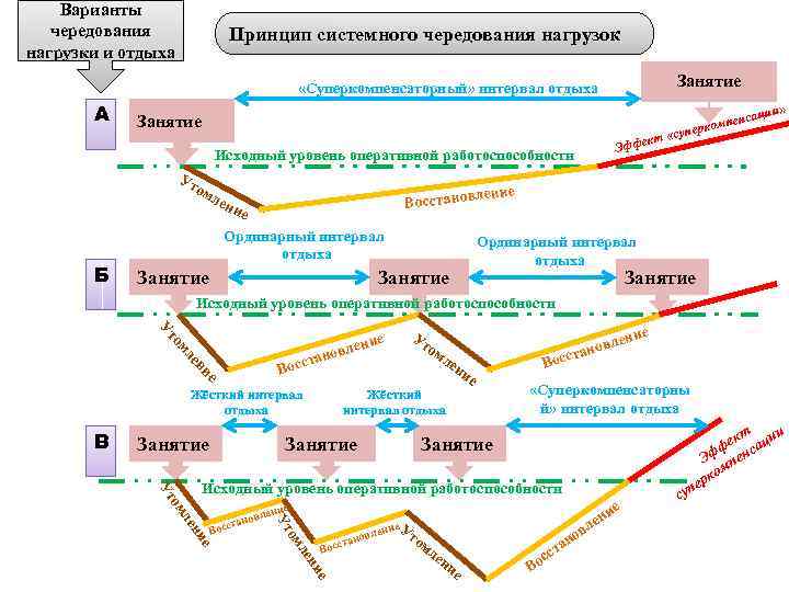 Принцип системного чередования нагрузок и отдыха. Чередование физических нагрузок и отдыха. Принцип чередования нагрузок. Чередование нагрузки и отдыха.