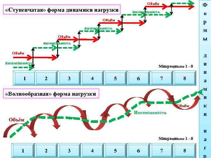 Форма динамика. Принцип волнообразной динамики нагрузки. Волнообразная форма нагрузки. Принцип волнообразности и вариативности динамики нагрузок. Нагрузка волнообразная ступенчатая.