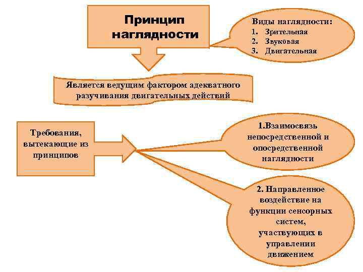 Принцип наглядности. Принцип наглядности виды. Принцип наглядности схема. Формы принципа наглядности.