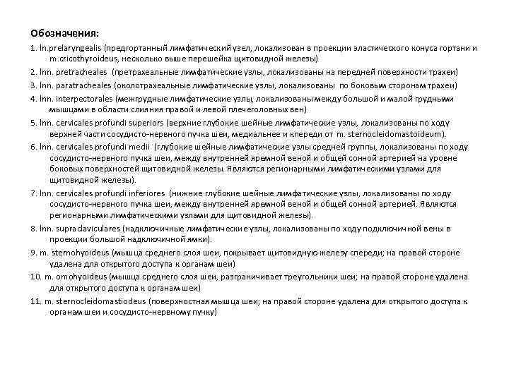 Обозначения: 1. ln. prelaryngealis (предгортанный лимфатический узел, локализован в проекции эластического конуса гортани и