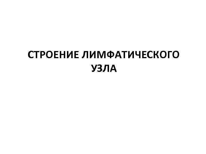 СТРОЕНИЕ ЛИМФАТИЧЕСКОГО УЗЛА 