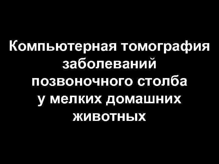 Компьютерная томография заболеваний позвоночного столба у мелких домашних животных 