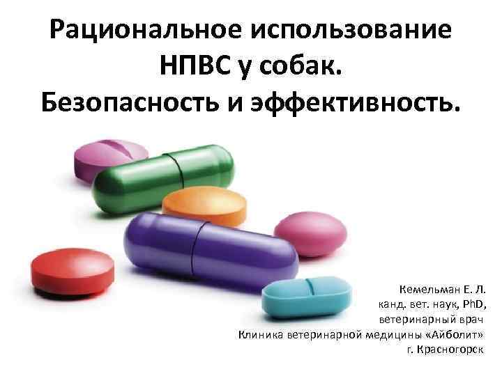 Рациональное использование НПВС у собак. Безопасность и эффективность. Кемельман Е. Л. канд. вет. наук,