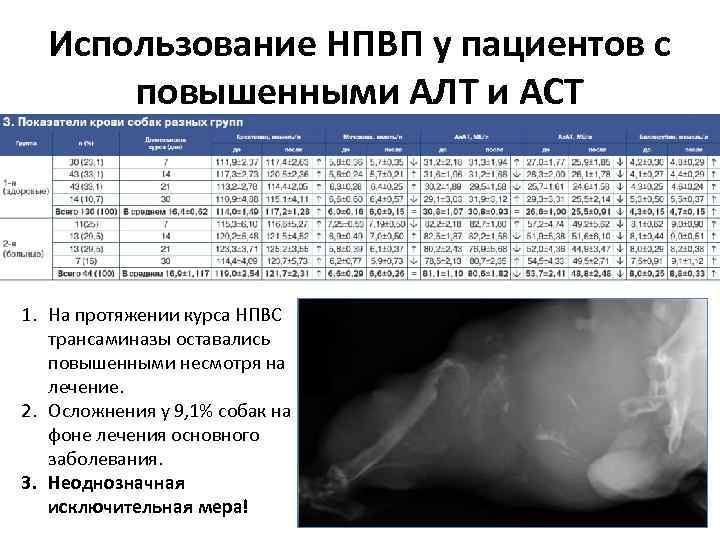 Показатель алт у собак