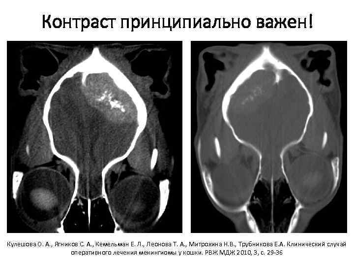 Контраст принципиально важен! Кулешова О. А. , Ягников С. А. , Кемельман Е. Л.