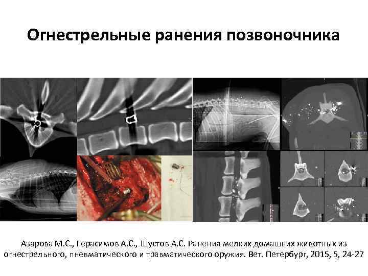 Огнестрельные ранения позвоночника Азарова М. С. , Герасимов А. С. , Шустов А. С.