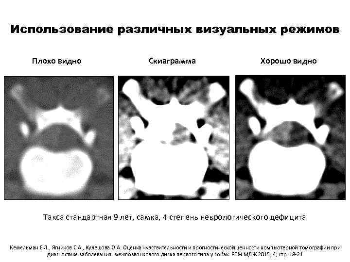 Использование различных визуальных режимов Плохо видно Скиаграмма Хорошо видно Такса стандартная 9 лет, самка,