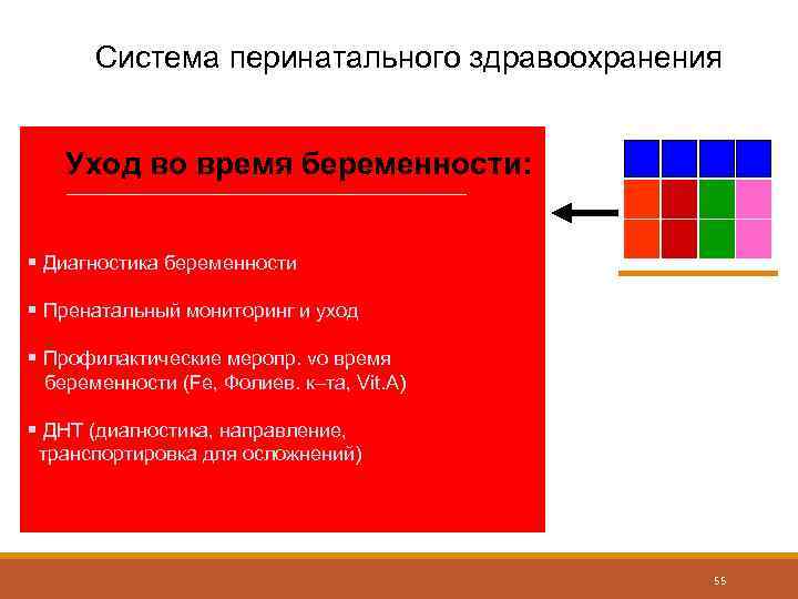 Система перинатального здравоохранения Уход во время беременности: § Диагностика беременности § Пренатальный мониторинг и