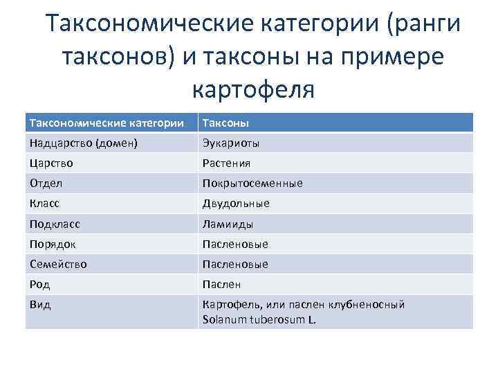 Таксономические названия