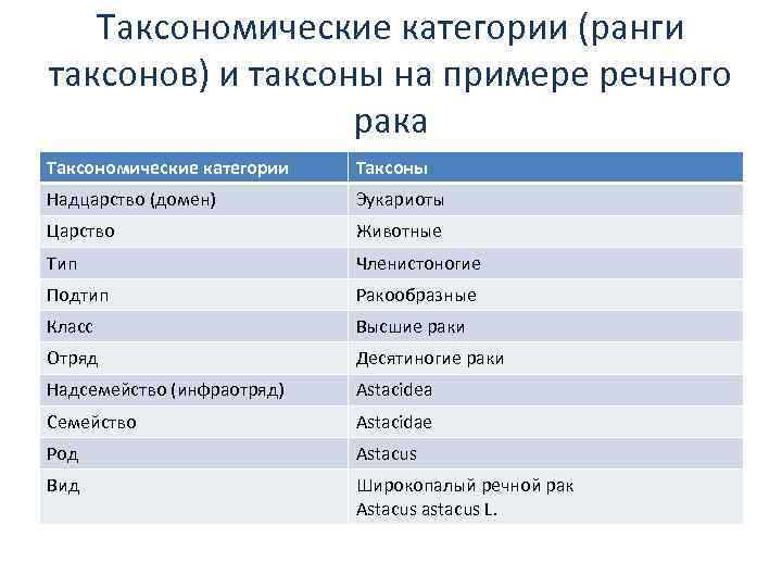 К надцарству эукариот относятся