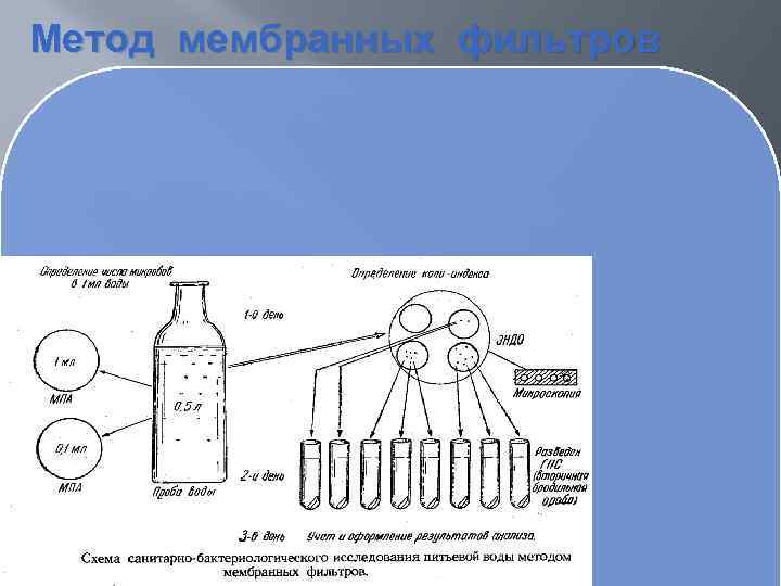 Метод мембранных фильтров 