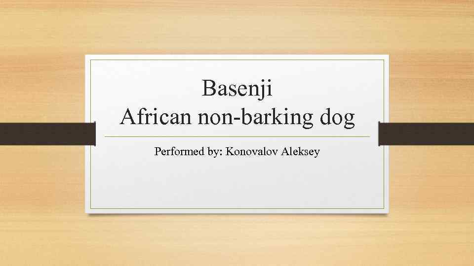 Basenji African non-barking dog Performed by: Konovalov Aleksey 