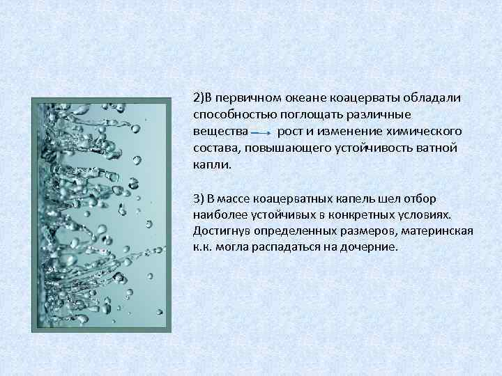 Первичное тело. Коацерваты обладали. Первичный бульон кооцерват. Коацерваты обладали упорядоченной структурой. Коацерватные капли обладали.