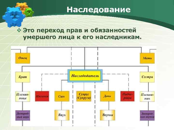 Наследование v Это переход прав и обязанностей умершего лица к его наследникам. 