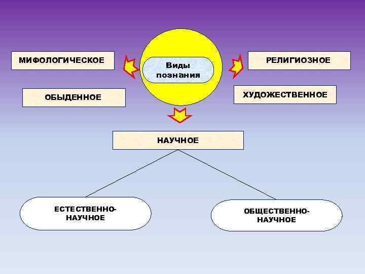 Виды познания схема в философии