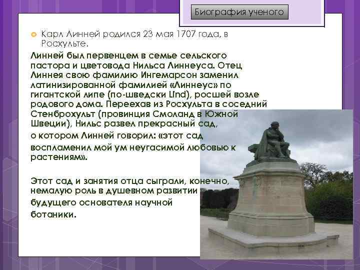 Биография ученого Карл Линней родился 23 мая 1707 года, в Росхульте. Линней был первенцем