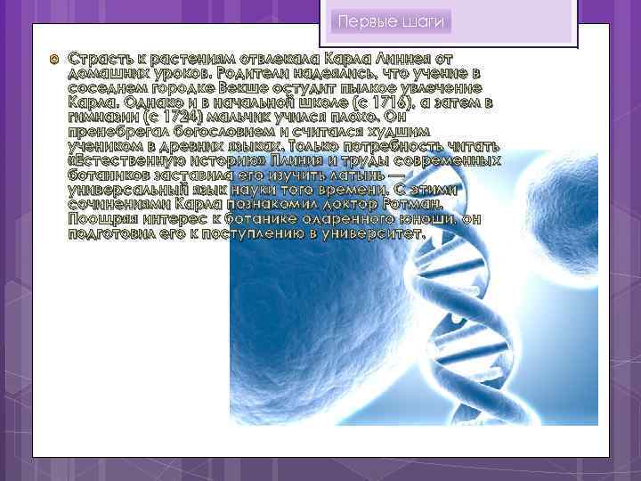 Первые шаги Страсть к растениям отвлекала Карла Линнея от домашних уроков. Родители надеялись, что