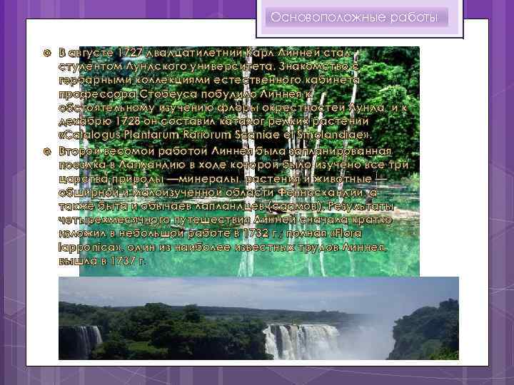 Основоположные работы В августе 1727 двадцатилетний Карл Линней стал студентом Лундского университета. Знакомство с