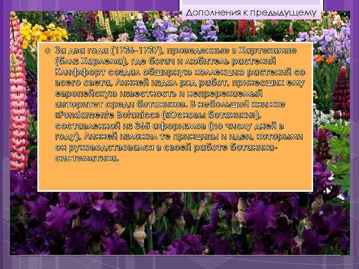 Дополнения к предыдущему За два года (1736 -1737), проведенные в Хартекампе (близ Харлема), где