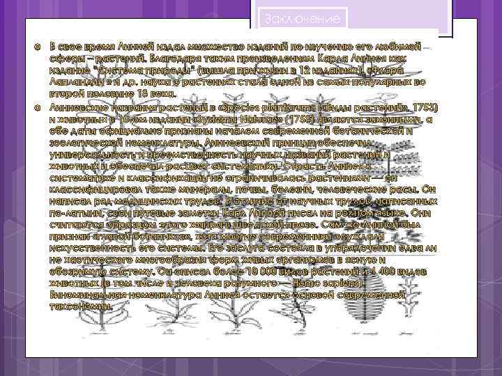 Заключение В свое время Линней издал множество изданий по изучению его любимой сферы –