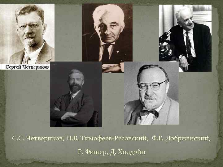 С. С. Четвериков, Н. В. Тимофеев-Ресовский, Ф. Г. Добржанский, Р. Фишер, Д. Холдэйн 