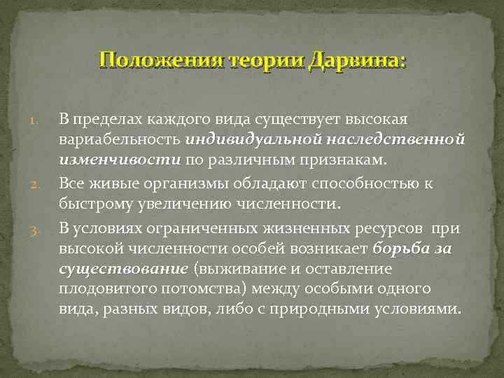 Положения теории Дарвина: 1. 2. 3. В пределах каждого вида существует высокая вариабельность индивидуальной