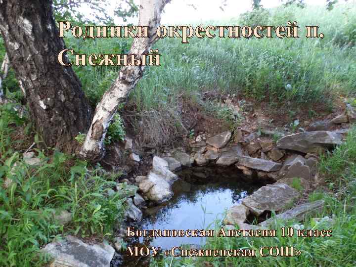 Родники окрестностей п. Снежный Богдановская Анстасия 10 класс МОУ «Снежненская СОШ» 