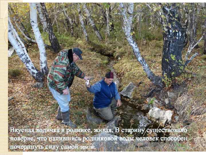 Вкусная водичка в роднике, живая. В старину существовало поверие, что напившись родниковой воды человек