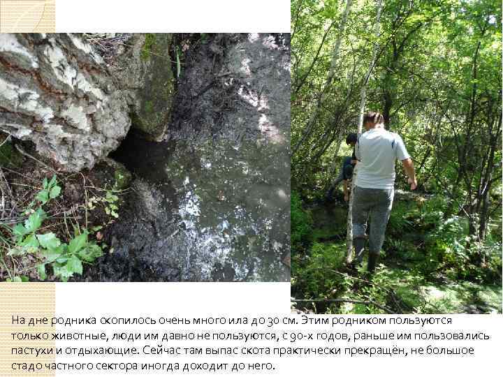 На дне родника скопилось очень много ила до 30 см. Этим родником пользуются только