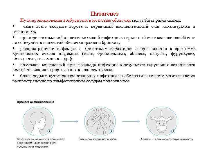 Патогенез Пути проникновения возбудителя в мозговые оболочки могут быть различными: § чаще всего входные