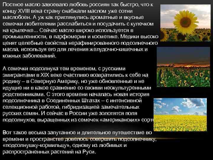 Постное масло завоевало любовь россиян так быстро, что к концу XVIII века страну снабжали