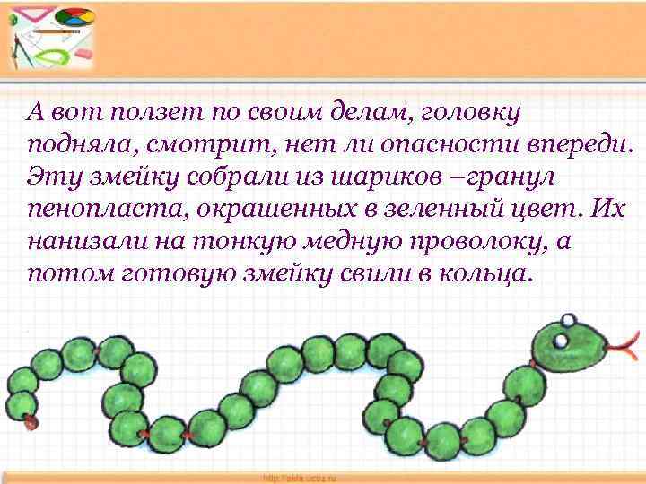 А вот ползет по своим делам, головку подняла, смотрит, нет ли опасности впереди. Эту