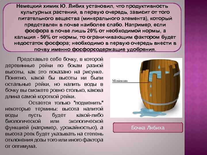 Немецкий химик Ю. Либих установил, что продуктивность культурных растений, в первую очередь, зависит от