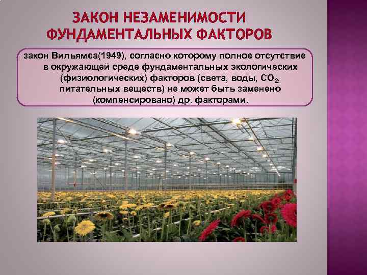 ЗАКОН НЕЗАМЕНИМОСТИ ФУНДАМЕНТАЛЬНЫХ ФАКТОРОВ закон Вильямса(1949), согласно которому полное отсутствие в окружающей среде фундаментальных