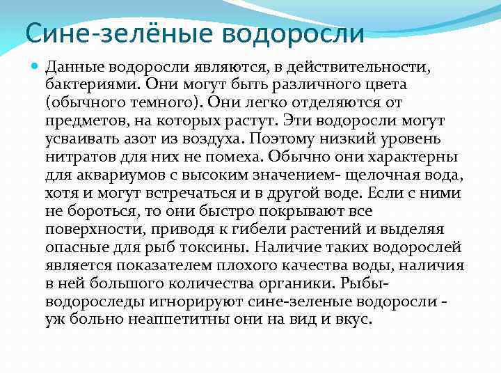 Сине-зелёные водоросли Данные водоросли являются, в действительности, бактериями. Они могут быть различного цвета (обычного