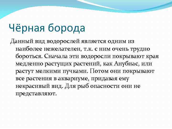 Чёрная борода Данный вид водорослей является одним из наиболее нежелателен, т. к. с ним